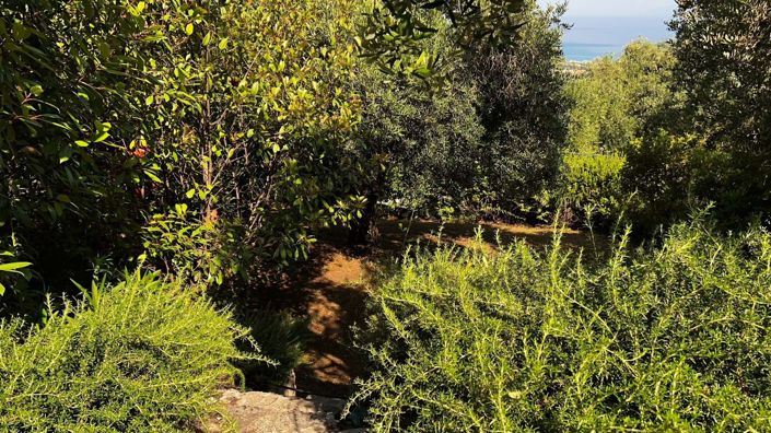 Image No.18-Maison de 3 chambres à vendre à Corfou