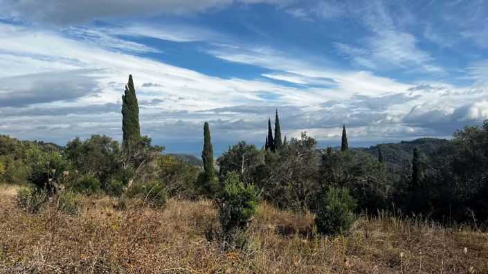Image No.3-Terre à vendre à Corfou