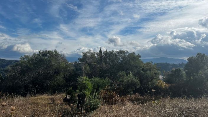 Image No.6-Terre à vendre à Corfou