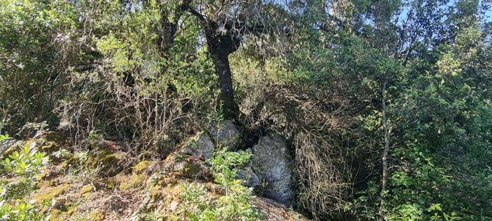 Image No.4-Land for sale