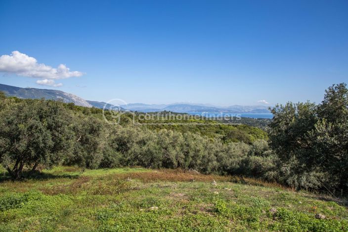 Image No.3-Terre à vendre à Corfou