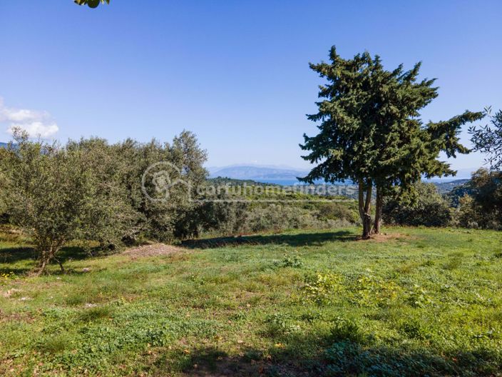 Image No.4-Terre à vendre à Corfou