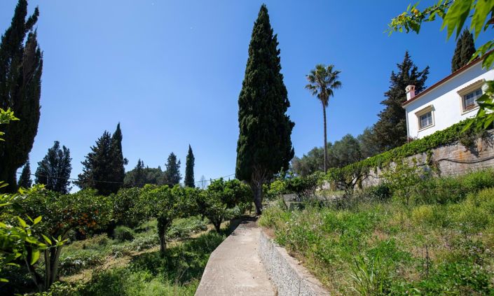 Image No.22-Maison de 6 chambres à vendre à Corfu Town