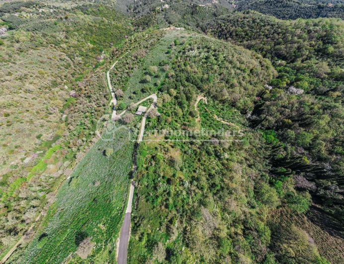 Image No.3-Terre à vendre à Kassiopi