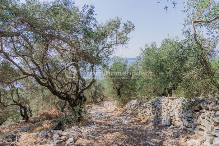 Image No.4-Terre à vendre à Corfou