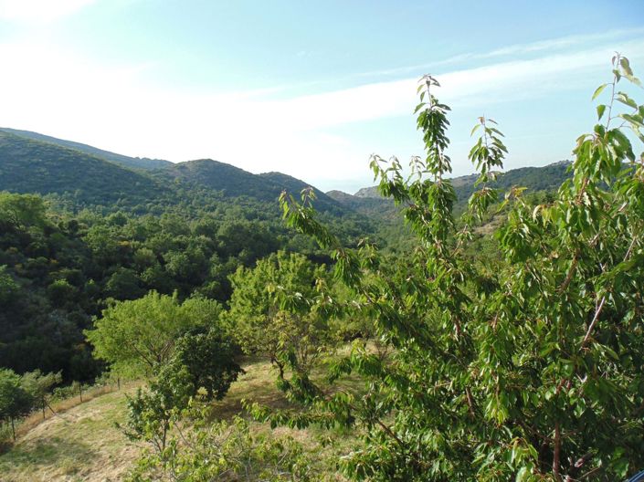 Image No.6-Maison de 2 chambres à vendre à Corfou