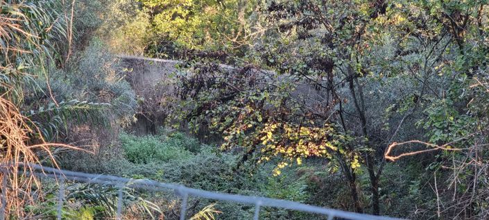 Image No.10-Terre à vendre à Corfou