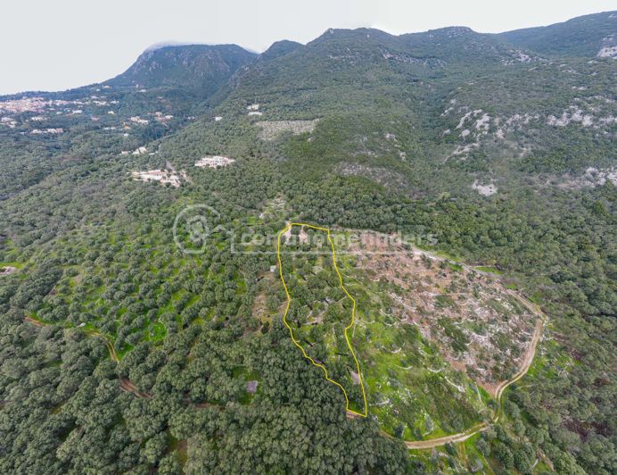 Image No.2-Terre à vendre à Spartilas