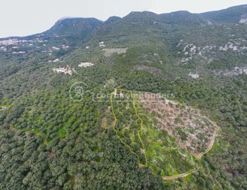 fad4a50c-6636-4c00-8852-c771efdd4efa