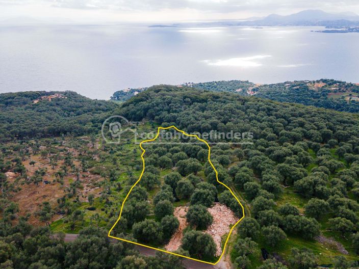 Image No.4-Terre à vendre à Spartilas