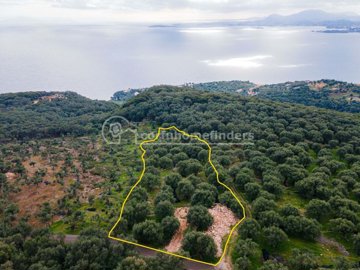 d6645a77-988a-4a4e-8a64-7dfa1a049827