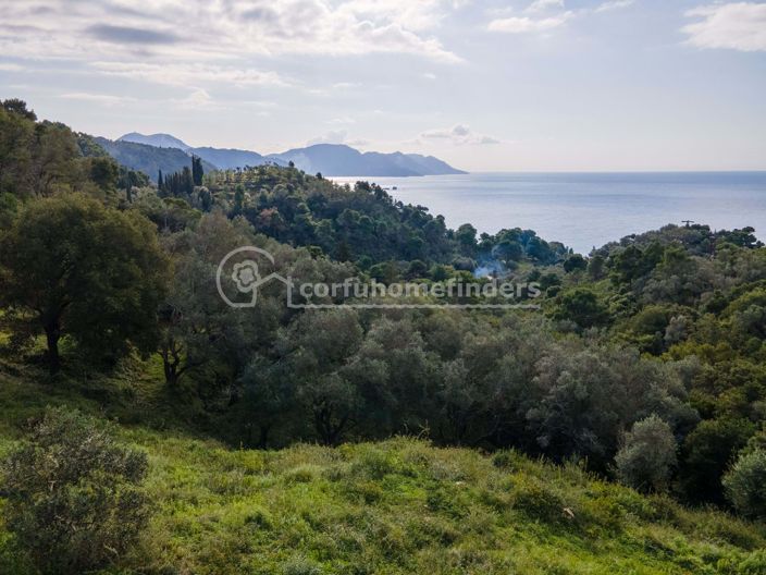 Image No.3-Terre de 3 chambres à vendre à Corfou