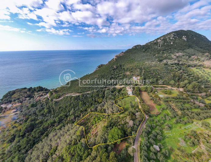 Image No.5-Terre de 3 chambres à vendre à Corfou