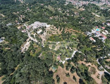 2b929734-d9c4-42dc-8b0b-ba50ab130cb0