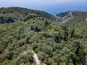 dc735375-6716-40ff-8090-037c804dfd44