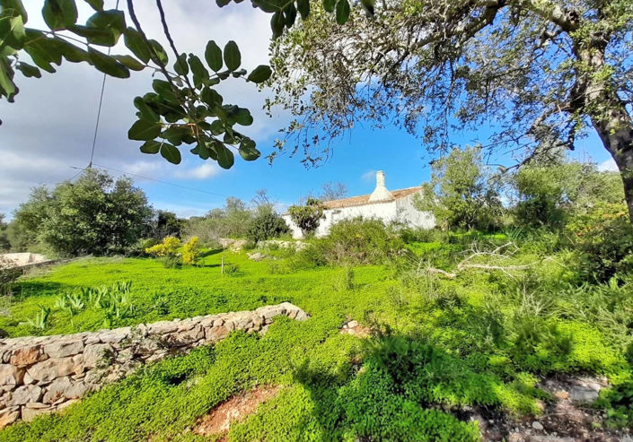 Image No.5-Propriété de 2 chambres à vendre à Algarve
