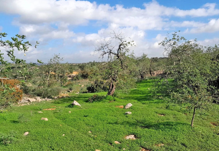 Image No.7-Propriété de 2 chambres à vendre à Algarve