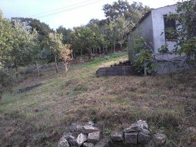 Image No.13-3 Bed Country House for sale