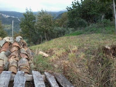 Image No.14-3 Bed Country House for sale