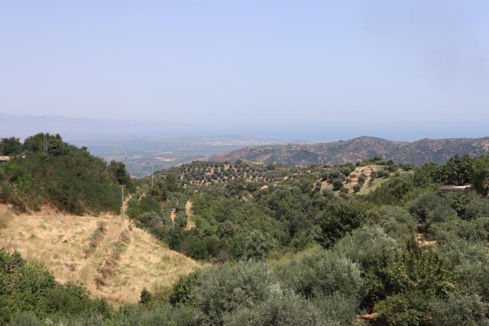 Image No.3-2 Bed Apartment for sale