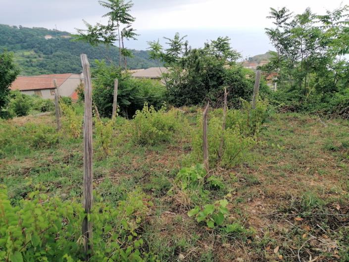 Image No.15-3 Bed Farmhouse for sale