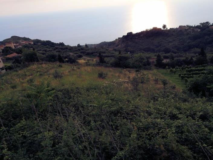 Image No.3-3 Bed Farmhouse for sale