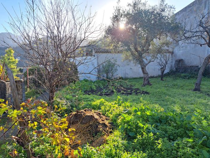 Image No.19-Propriété de pays de 1 chambre à vendre à Longobardi