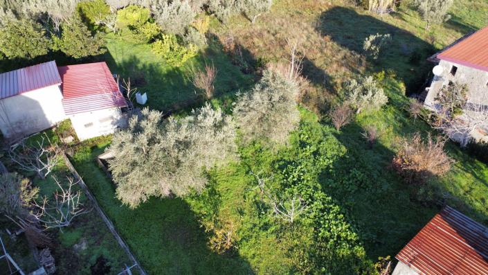 Image No.3-Propriété de pays de 1 chambre à vendre à Longobardi