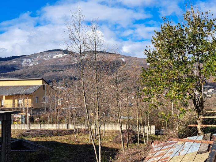 Image No.39-6 Bed House for sale