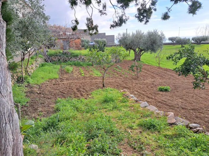 Image No.19-4 Bed Farmhouse for sale