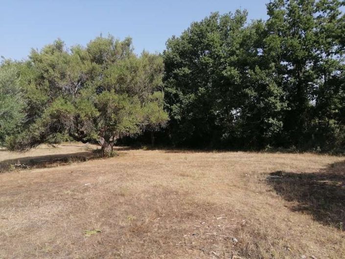 Image No.3-Land for sale