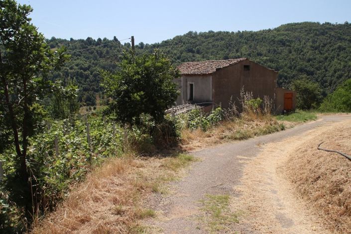Image No.6-Propriété de 1 chambre à vendre à Calabre
