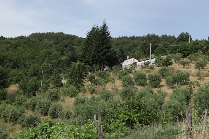 Image No.7-Propriété de 1 chambre à vendre à Calabre