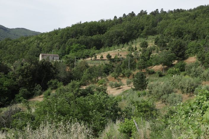 Image No.8-Propriété de 1 chambre à vendre à Calabre