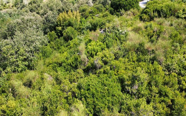 Image No.2-Propriété à vendre à Falconara Albanese