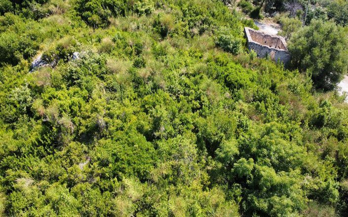 Image No.4-Propriété à vendre à Falconara Albanese