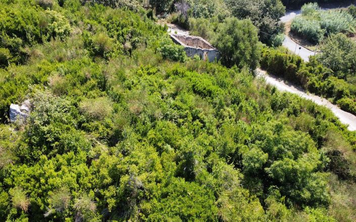 Image No.5-Propriété à vendre à Falconara Albanese