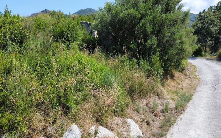 Image No.6-Propriété à vendre à Falconara Albanese