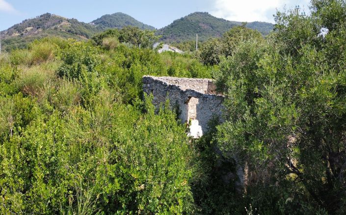 Image No.7-Propriété à vendre à Falconara Albanese