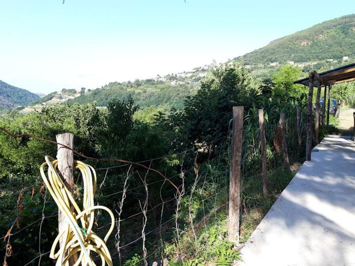 Image No.12-Farmhouse for sale