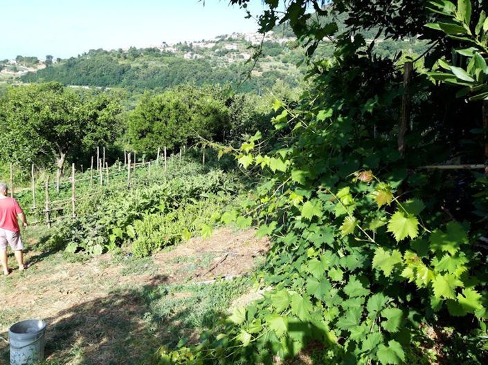 Image No.13-Farmhouse for sale