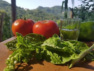 casabarratta12gbproduce64f5e72e21a0a