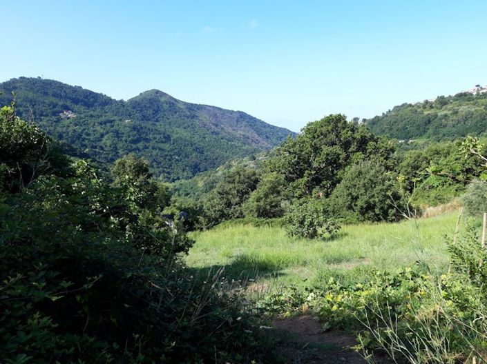 Image No.21-Farmhouse for sale