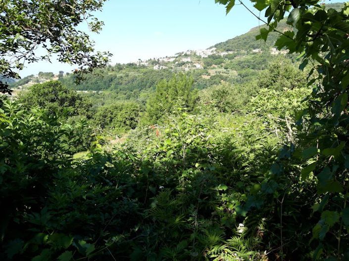 Image No.22-Farmhouse for sale