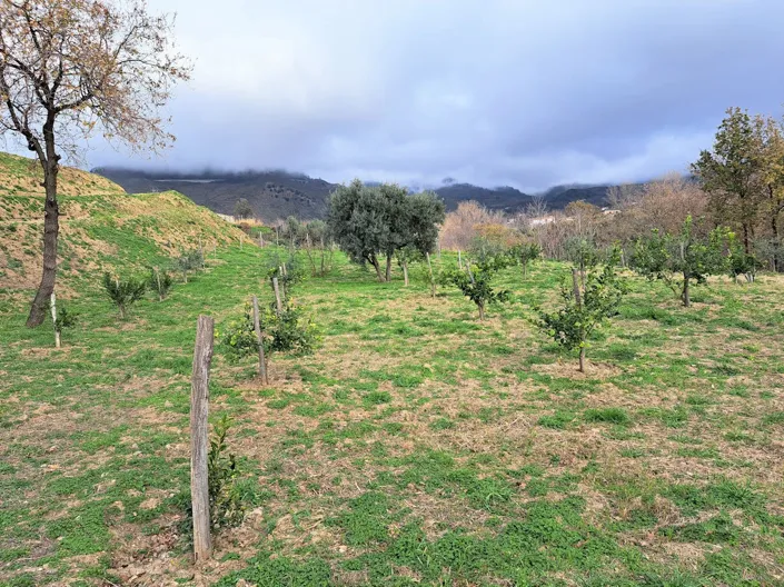 Image No.16-Property for sale