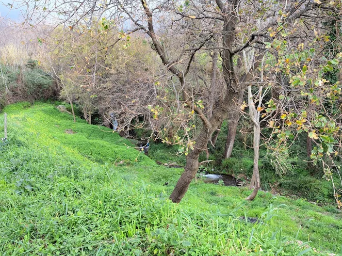 Image No.18-Property for sale