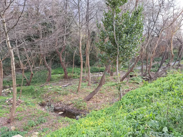 Image No.20-Property for sale