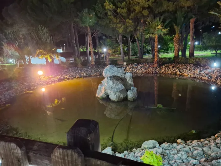 Image No.21-1 Bed Apartment for sale