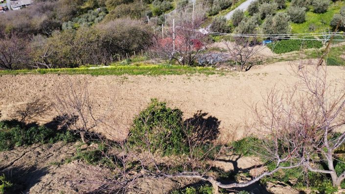 Image No.9-Land for sale