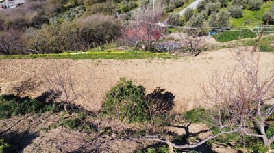 plotland46mfland564b51ea18fe34